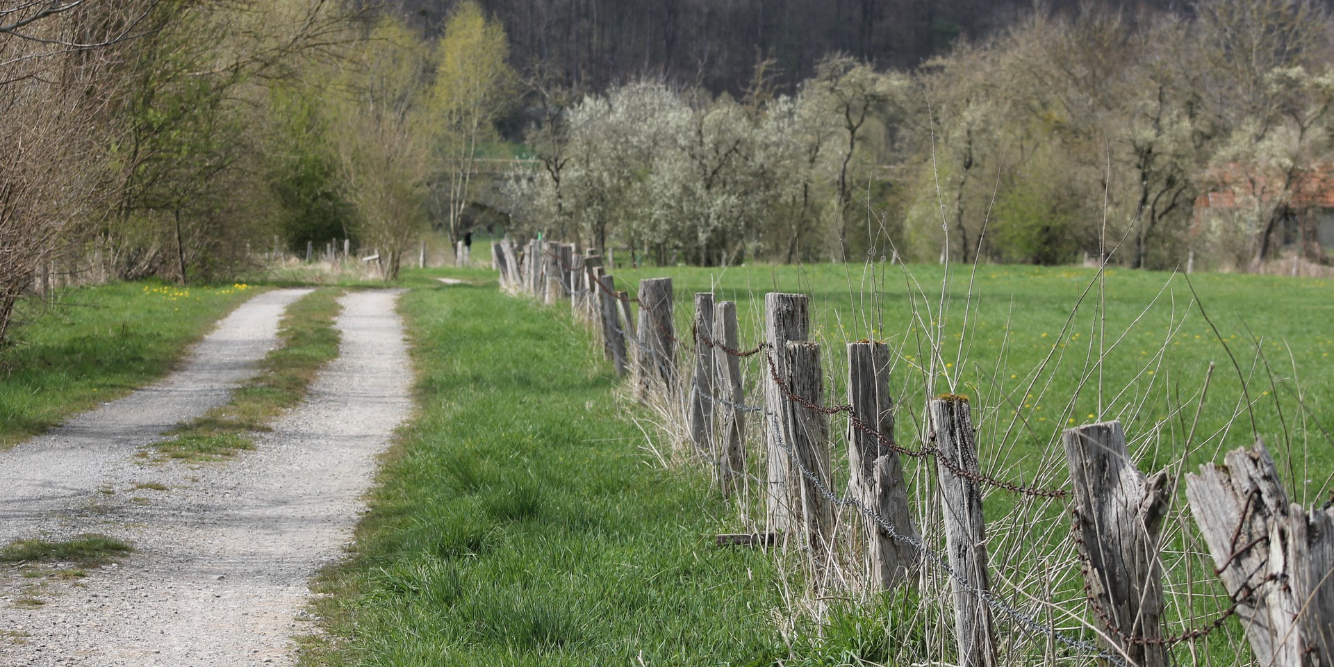 Ein typisch westfälischer Feldweg.
